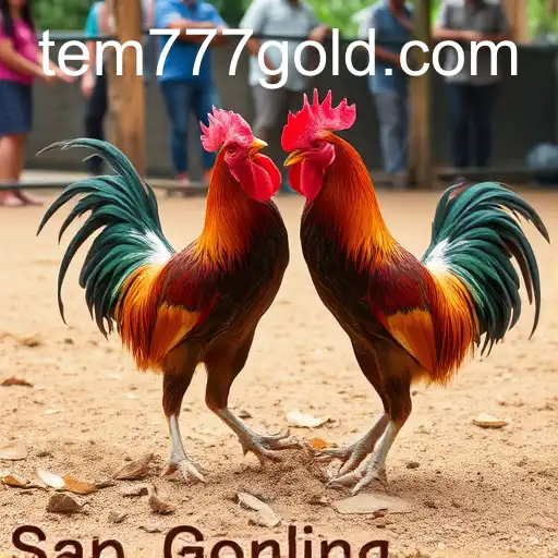 Exploring Sabong Games: A Deep Dive into tem777 PH Login